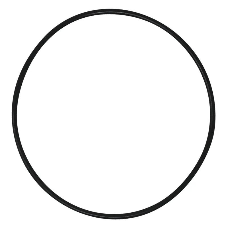 Guarnizione O-Ring in Gomma Re - Tank O-Ring Seal recensione e prezzo