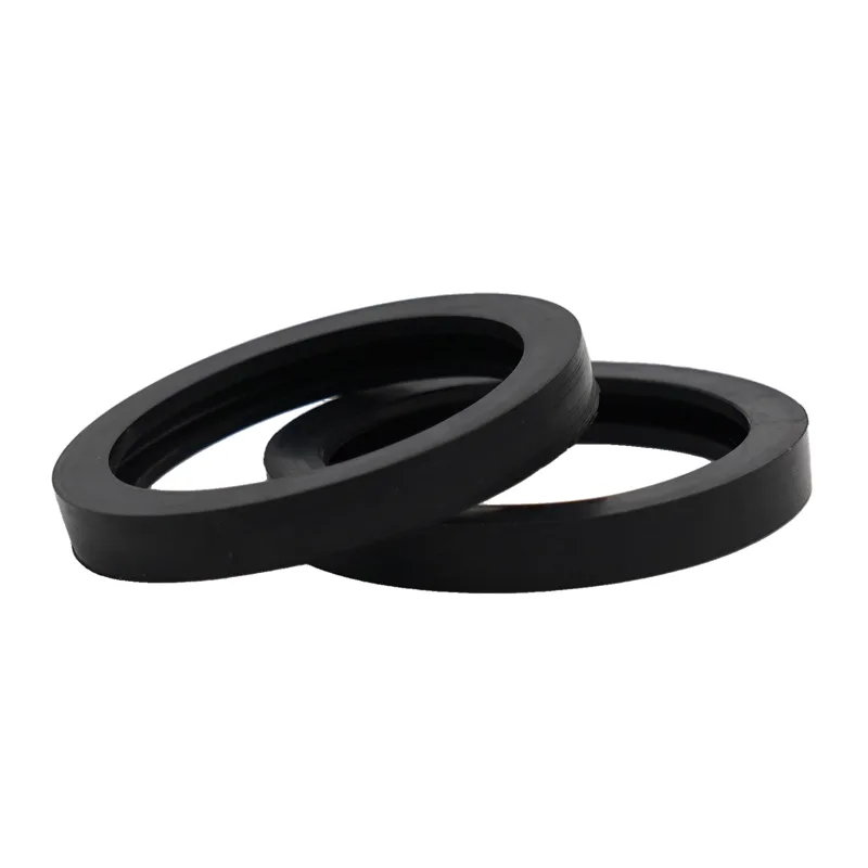 10 Pezzi di Guarnizioni in Gom - Tank O-Ring Seal recensione e prezzo