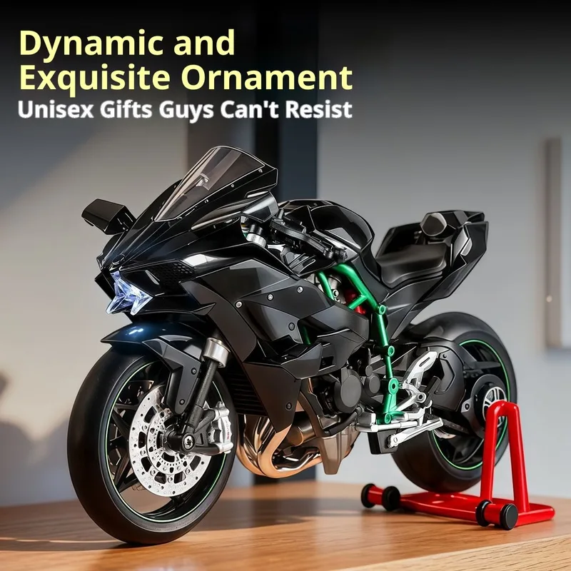 Kawasaki Ninja H2R Modello din - Battery Case Storage recensione e prezzo