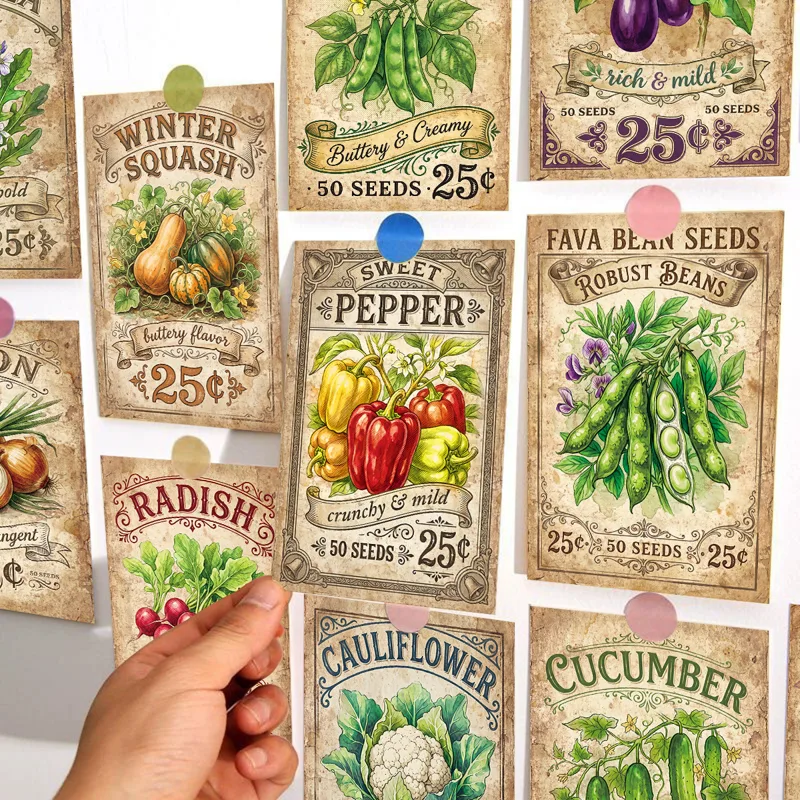 20 Cartoline Artistiche con Se - Vape Decoration recensione e prezzo