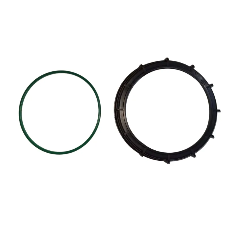 Guarnizione di Chiusura Serbat - Tank O-Ring Seal recensione e prezzo